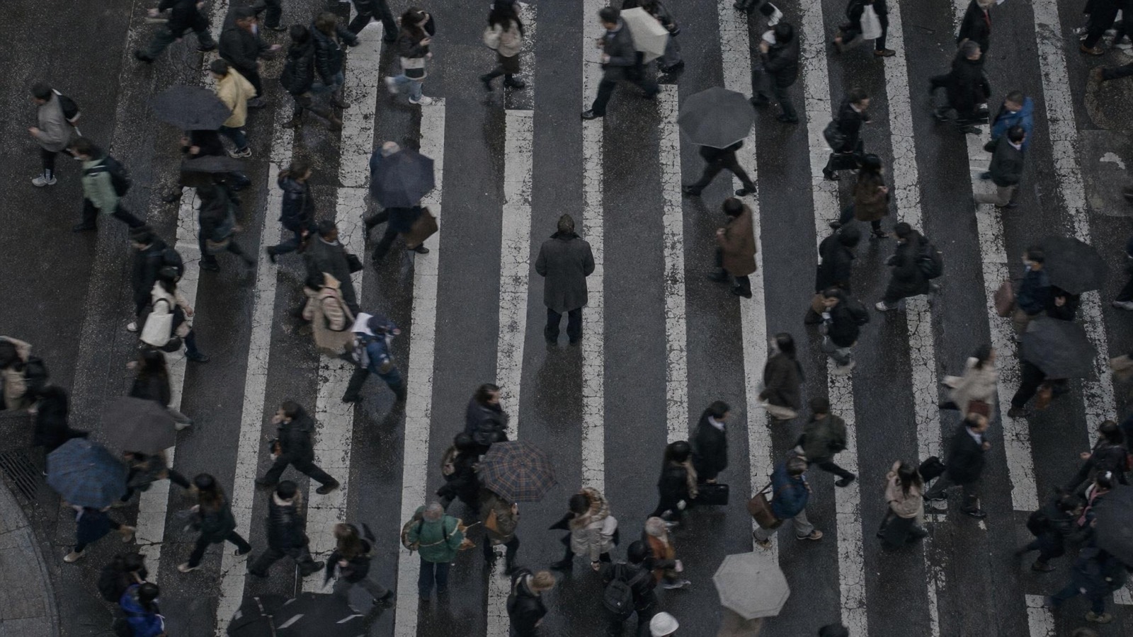 A crossing seen from above, with one person standing still in the crowd.